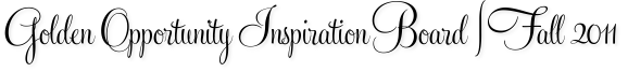 Golden Opportunity Inspiration Board | Fall 2011
