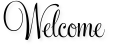 Welcome